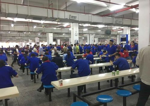 月薪八千背后的深圳奮斗觀 事業為上，婚戀從寬