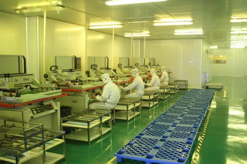 中共湛江市委十一屆十次全會工作報告要點 深化人力資源服務，規范職業中介活動，賦能高質量發展